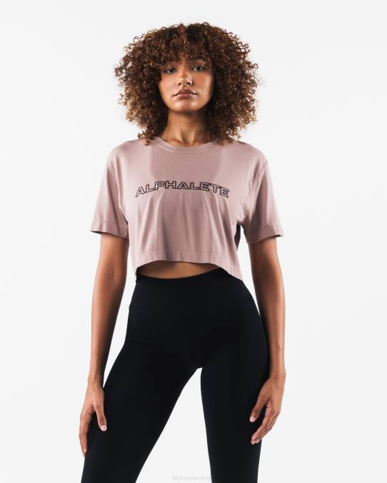 klær T442205 porselensbrun core airtech ss crop kvinner Alphalete - Bilde 1