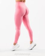 klær T442409 sukkerspinn rosa forsterke legging kvinner Alphalete
