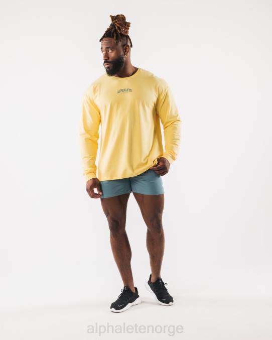 klær T442528 gul aa paisley print ls t-skjorte menn Alphalete - Bilde 2