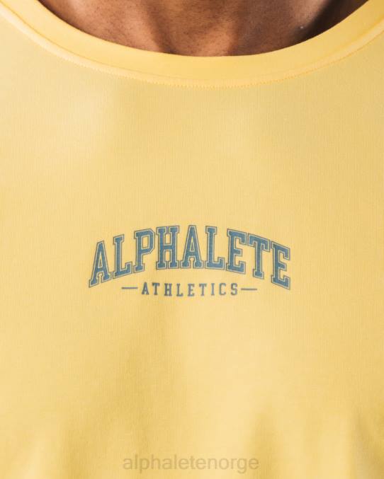 klær T442528 gul aa paisley print ls t-skjorte menn Alphalete - Bilde 5
