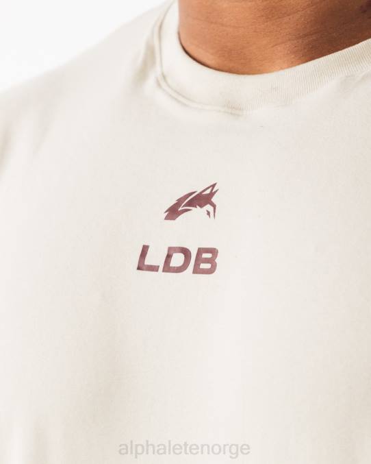 klær T442535 havskjell/sangria brun børstet crest t-skjorte menn Alphalete - Bilde 5