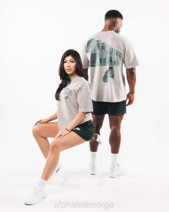 klær T442545 mørk sølvgrå dimensjonal t-skjorte unisex Alphalete - Bilde 1
