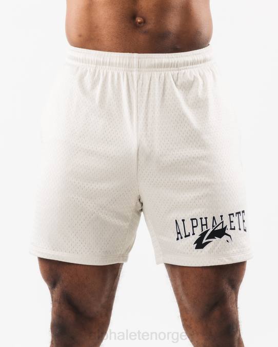 klær T442658 havskjell brun ulvehode mesh kort 6" menn Alphalete - Bilde 1