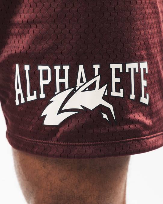 klær T442659 sangria rød ulvehode mesh kort 6" menn Alphalete - Bilde 6