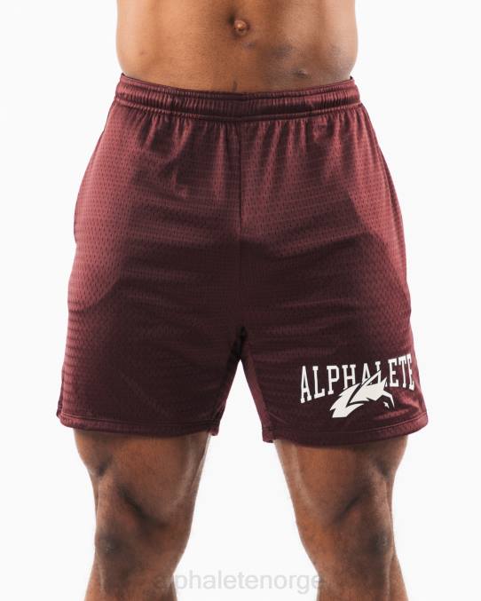 klær T442659 sangria rød ulvehode mesh kort 6" menn Alphalete - Bilde 1