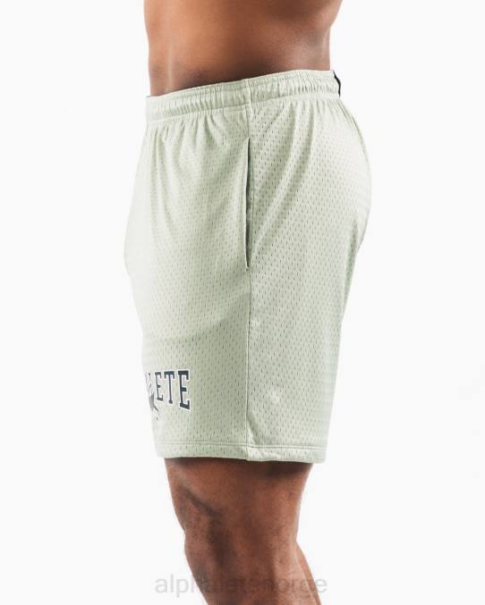 klær T442661 salvie grønn ulvehode mesh kort 6" menn Alphalete - Bilde 3