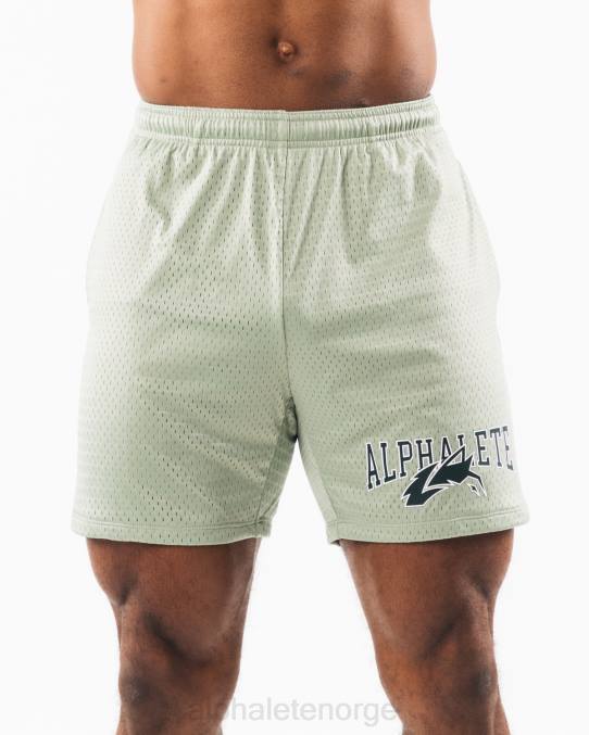 klær T442661 salvie grønn ulvehode mesh kort 6" menn Alphalete - Bilde 1