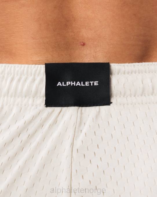 klær T442663 havskjell brun ldb mer mesh kort 6" menn Alphalete - Bilde 5