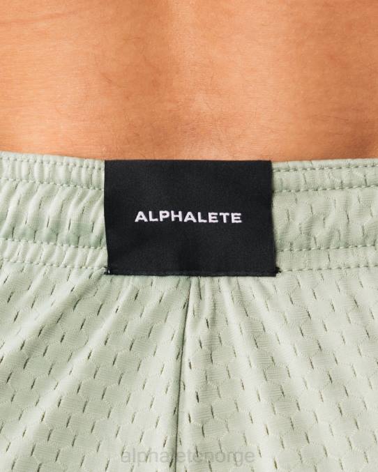 klær T442664 salvie grønn ldb mer mesh kort 6" menn Alphalete - Bilde 5