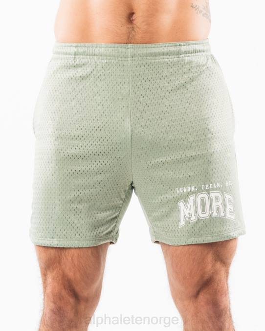 klaer_t442664_salvie_gronn_ldb_mer_mesh_kort_6_menn_alphalete.jpg klær T442664 salvie grønn ldb mer mesh kort 6" menn Alphalete - Bilde 1