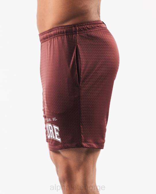 klær T442669 burgunder rød ldb mer mesh kort 6" menn Alphalete - Bilde 3