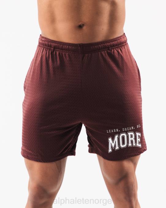 klær T442669 burgunder rød ldb mer mesh kort 6" menn Alphalete - Bilde 1