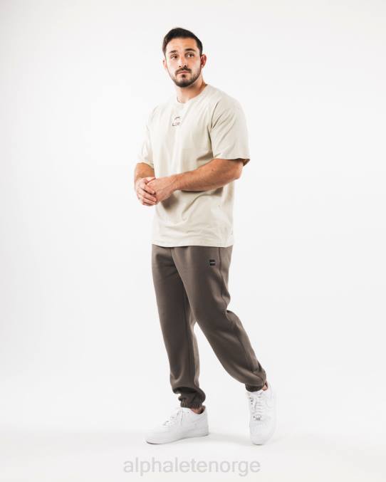 klær T442720 ørken taupe brun akademi avslappet jogger menn Alphalete - Bilde 2
