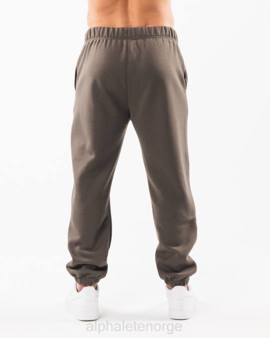 klær T442720 ørken taupe brun akademi avslappet jogger menn Alphalete - Bilde 3