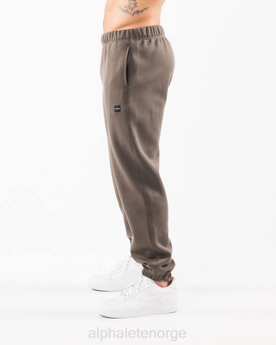 klær T442720 ørken taupe brun akademi avslappet jogger menn Alphalete - Bilde 4