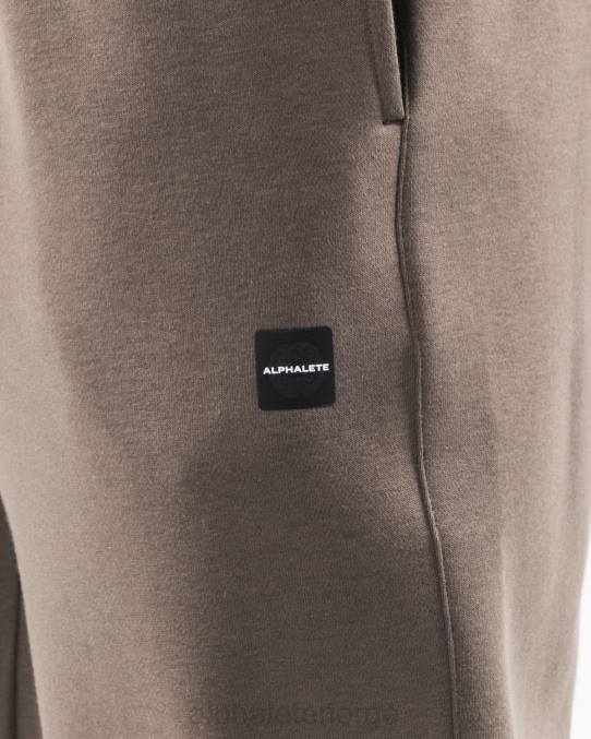 klær T442720 ørken taupe brun akademi avslappet jogger menn Alphalete - Bilde 5