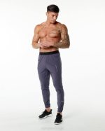 klær T442739 dempet lilla studio bukse menn Alphalete - Bilde 3
