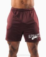klær T442659 sangria rød ulvehode mesh kort 6" menn Alphalete