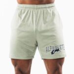 klær T442661 salvie grønn ulvehode mesh kort 6" menn Alphalete