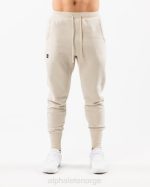 klær T442715 havskjell brun academy club jogger menn Alphalete - Bilde 3
