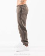 klær T442720 ørken taupe brun akademi avslappet jogger menn Alphalete - Bilde 4